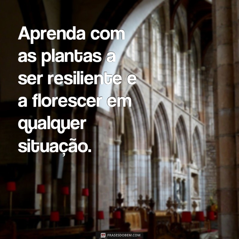 Descubra as melhores frases para decorar seus vasos de plantas e deixá-los ainda mais charmosos! 