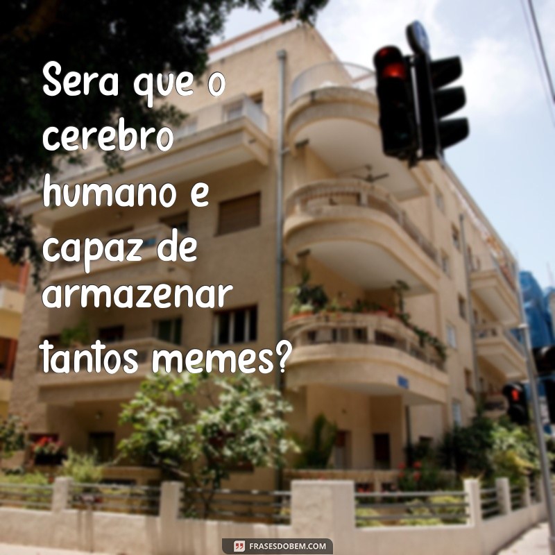 Descubra as melhores frases meme para expressar seus pensamentos! 