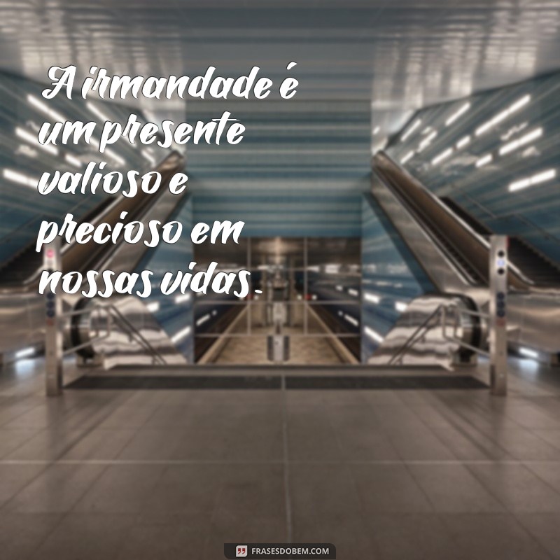 Descubra o verdadeiro significado da irmandade através de frases inspiradoras 