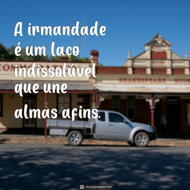 frases irmandade significado A irmandade é um laço indissolúvel que une almas afins.