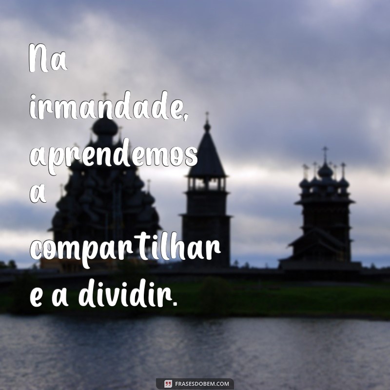 Descubra o verdadeiro significado da irmandade através de frases inspiradoras 