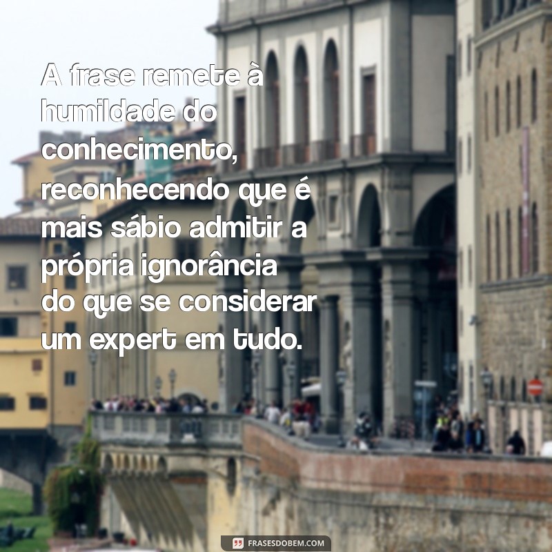 explique a frases só sei que nada sei A frase remete à humildade do conhecimento, reconhecendo que é mais sábio admitir a própria ignorância do que se considerar um expert em tudo.