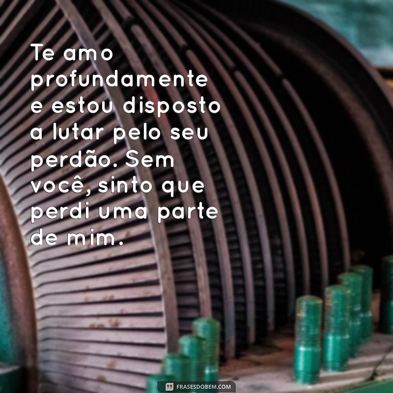 As Melhores Frases de Perdão para Reconquistar seu Namorado 