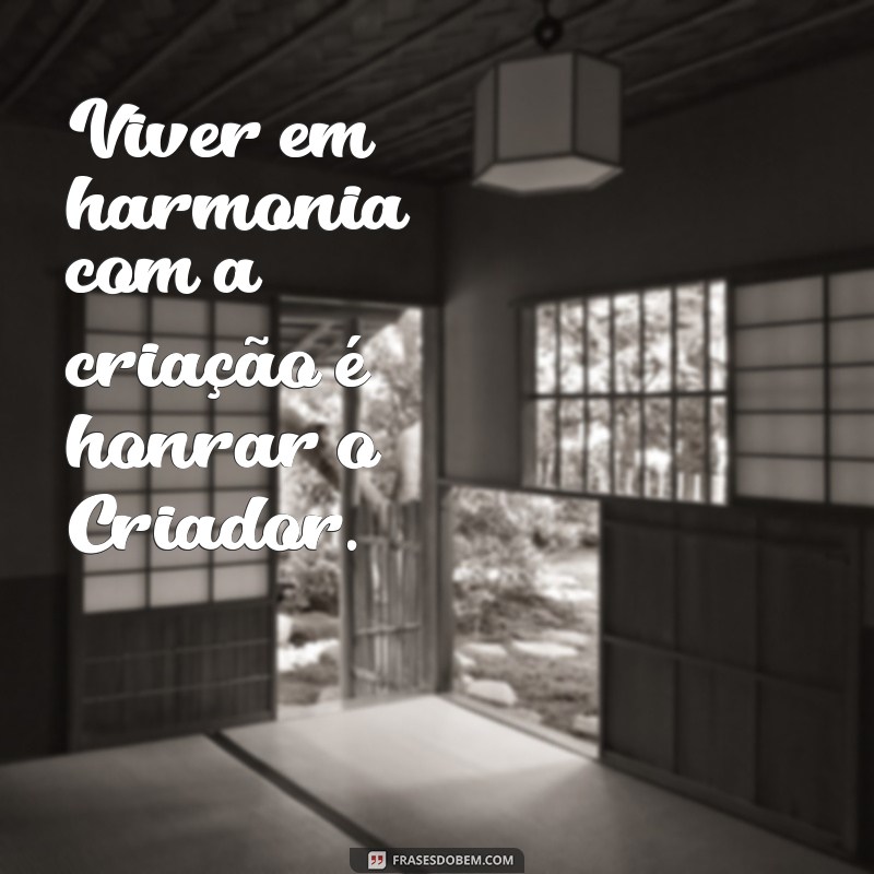 Frases Inspiradoras de Santa Clara de Assis: Reflexões para a Alma 