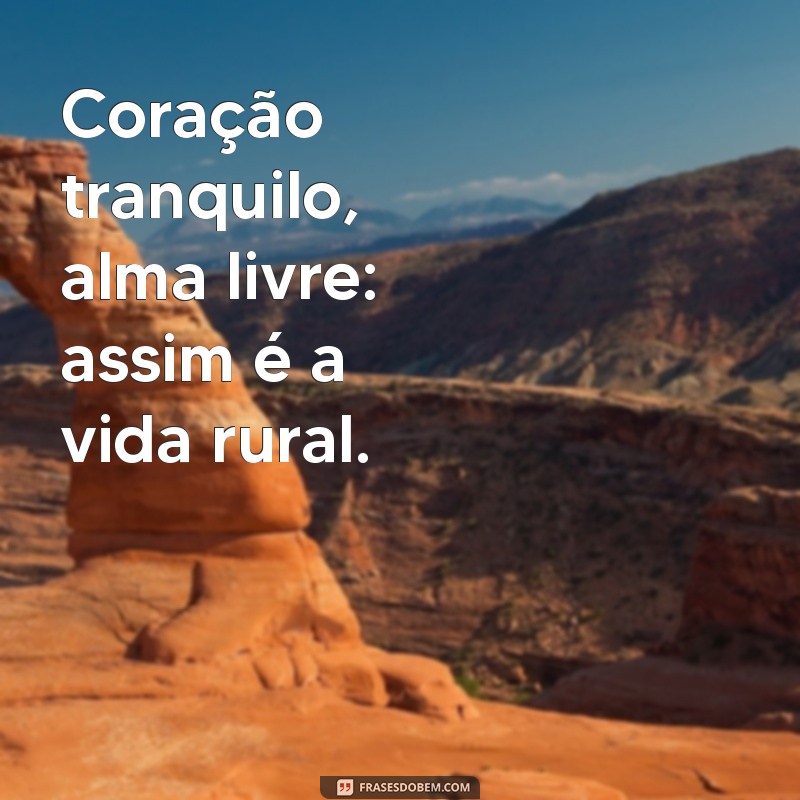 Frases Inspiradoras para Acompanhar Suas Fotos na Fazenda 