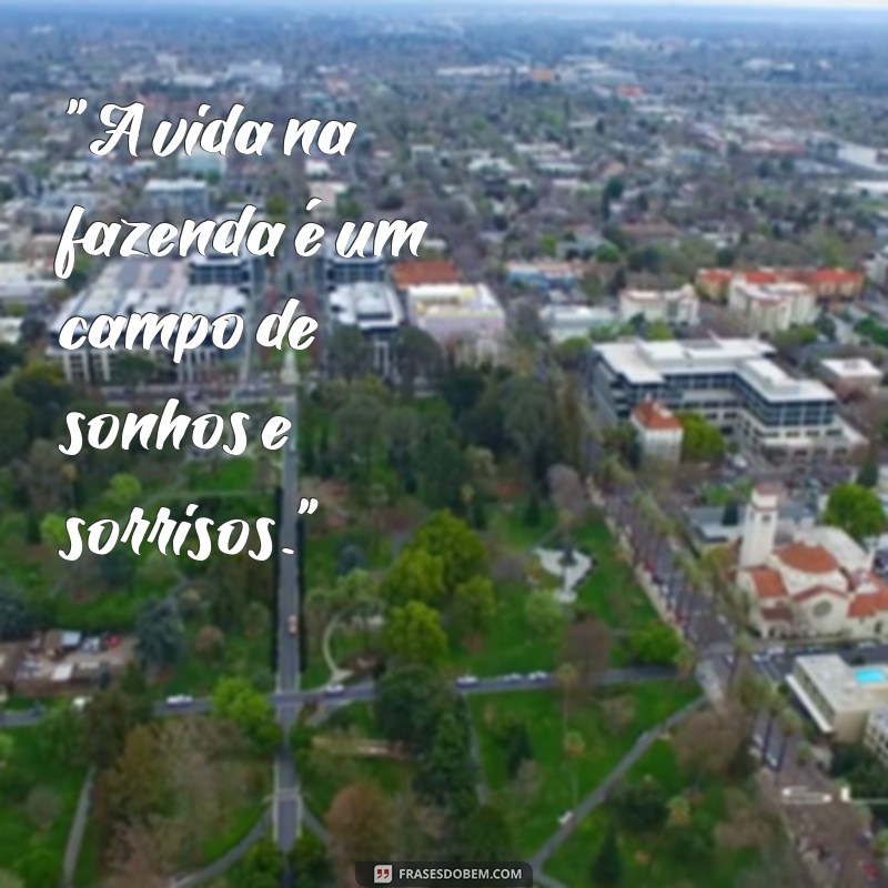 frases para fotos na fazenda 