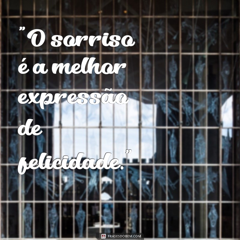 frases que fala de sorriso 