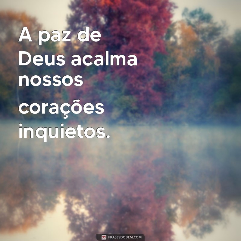 Reflexões sobre a Palavra de Deus Hoje: Inspirações e Mensagens para o Dia a Dia 