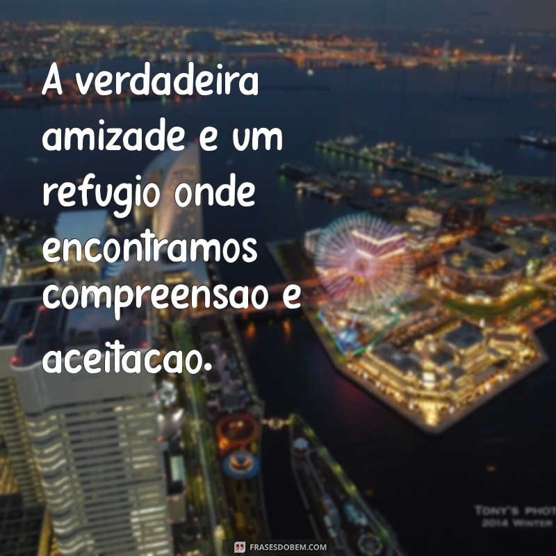 msg sobre amizade A verdadeira amizade é um refúgio onde encontramos compreensão e aceitação.