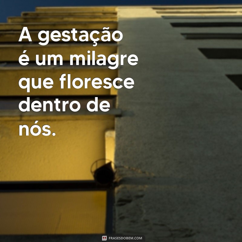 frases gestação A gestação é um milagre que floresce dentro de nós.