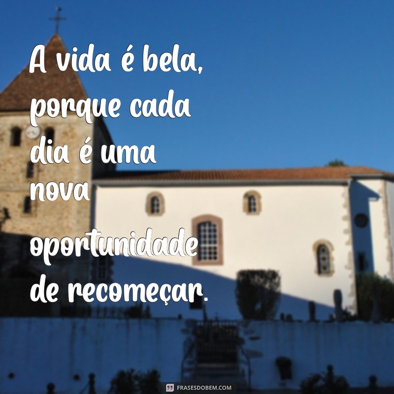 frases com porque A vida é bela, porque cada dia é uma nova oportunidade de recomeçar.