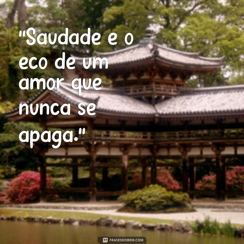 musica de saudade 