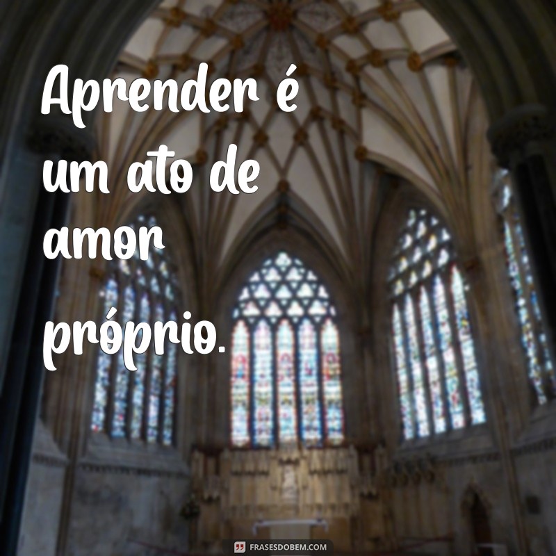 Frases Inspiradoras sobre Conhecimento: Aprenda Sempre Mais 