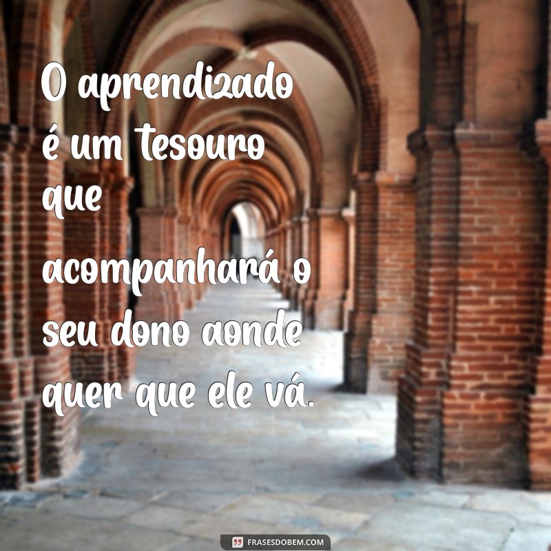 Frases Inspiradoras sobre Conhecimento: Aprenda Sempre Mais 