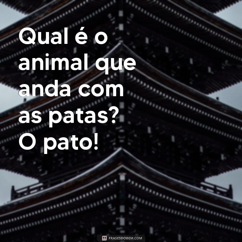 frases de piadas engraçadas Qual é o animal que anda com as patas? O pato!