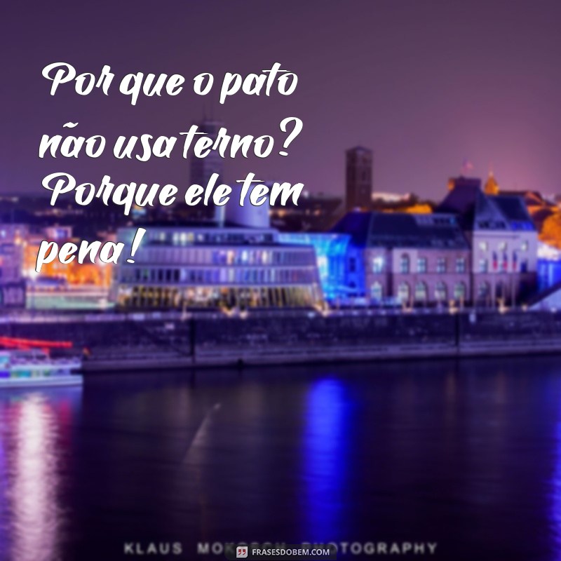 Divirta-se com as melhores frases de piadas engraçadas! 