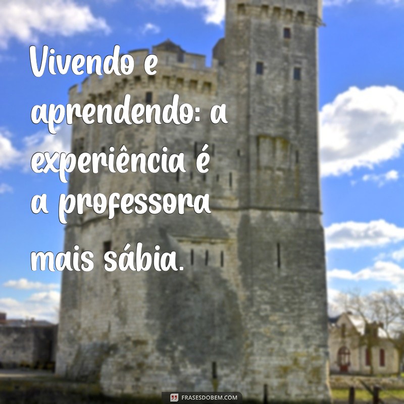 Viver e Aprender: Lições Valiosas para o Crescimento Pessoal 