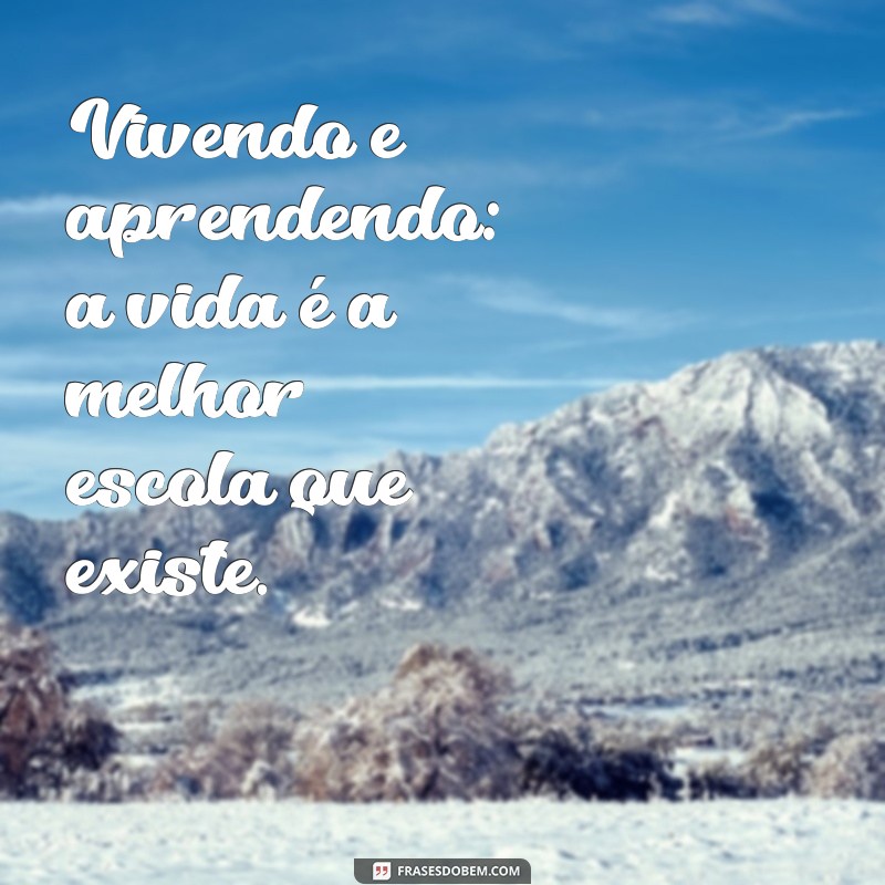 Viver e Aprender: Lições Valiosas para o Crescimento Pessoal 