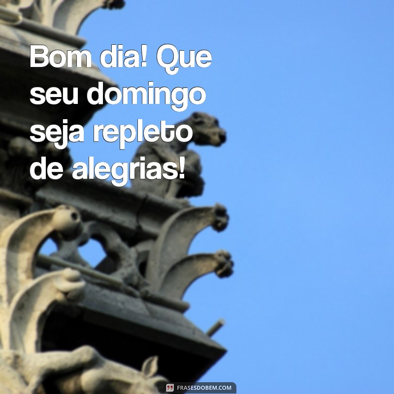 bom dia e excelente domingo Bom dia! Que seu domingo seja repleto de alegrias!