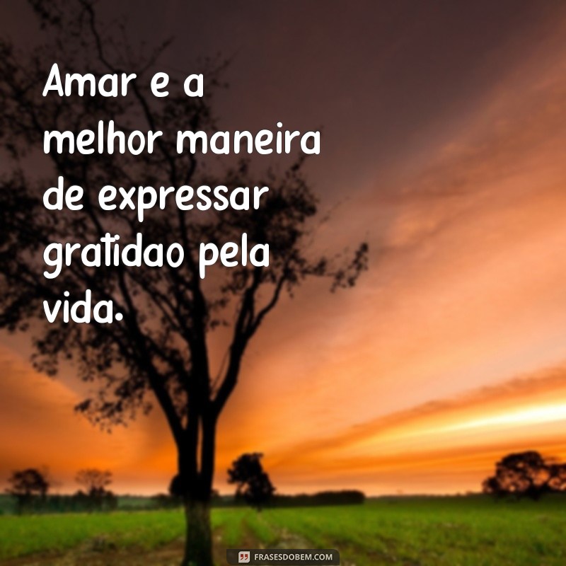 Descubra as mais belas frases para viver intensamente por amor 