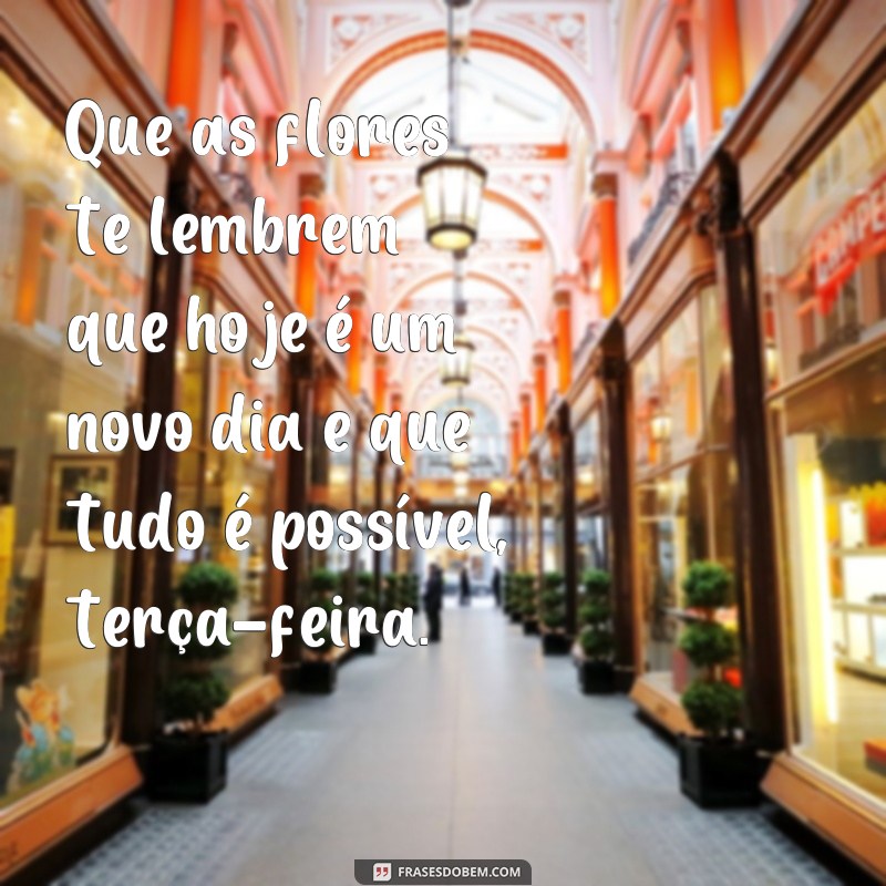 Encante sua terça-feira com lindas frases de bom dia e flores 