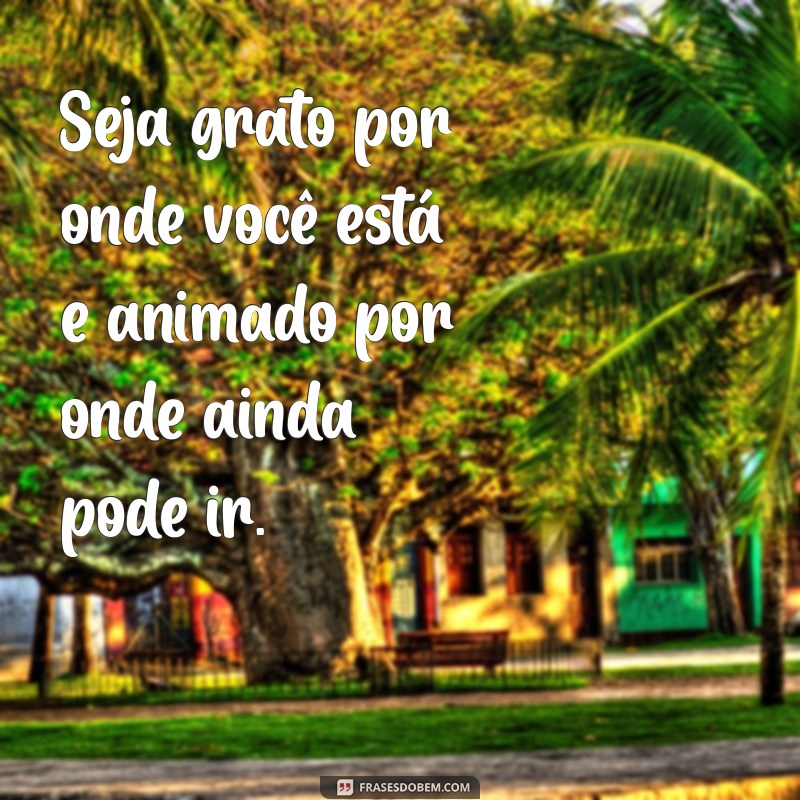 As Melhores Frases Motivacionais para Transformar Seu Status no Instagram 