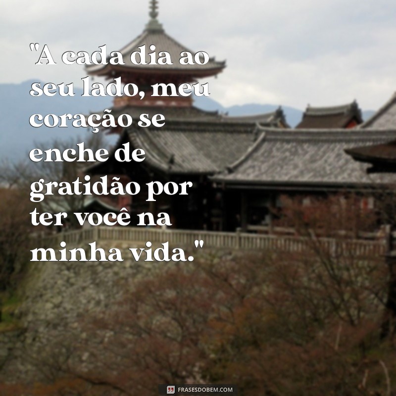 frases de agradecimento ao amor 