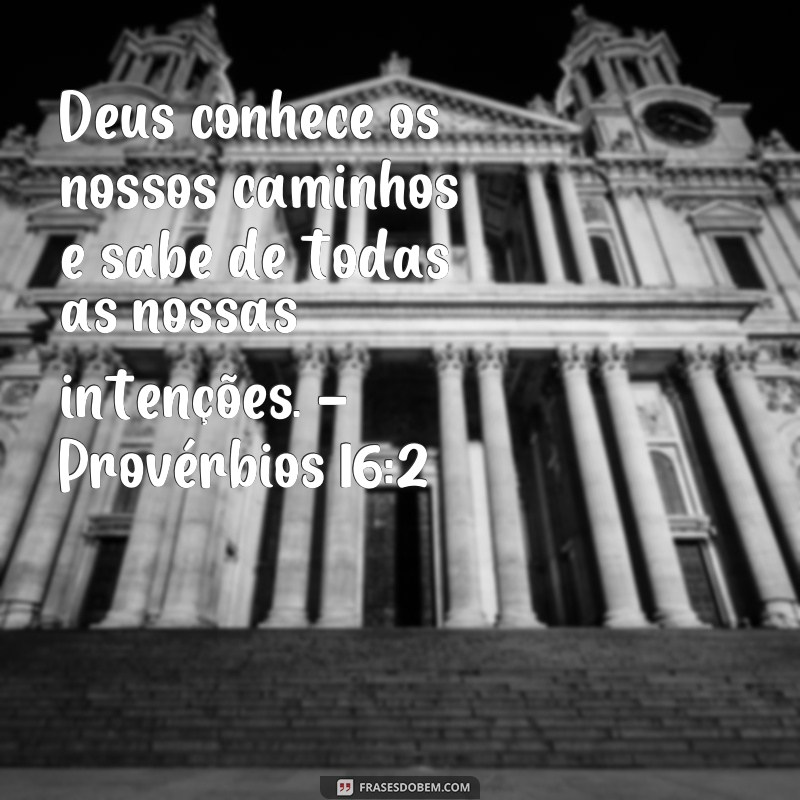 Descubra a sabedoria divina: Versículos sobre como Deus sabe de todas as coisas 