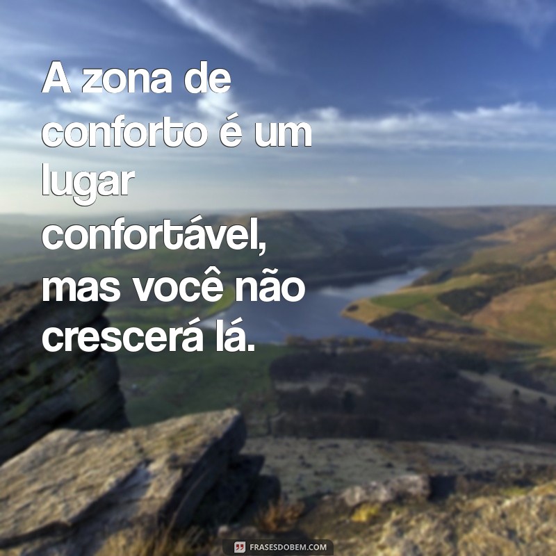 Desperte seu Potencial: Como Sair da Zona de Conforto e Transformar sua Vida 