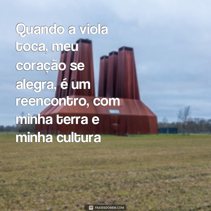 Descubra as melhores frases da música caipira antiga para se emocionar 