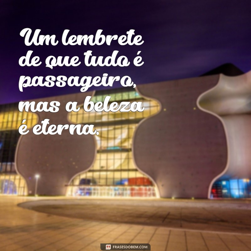 50 Frases Inspiradoras para Legendagens de Fotos do Pôr do Sol 