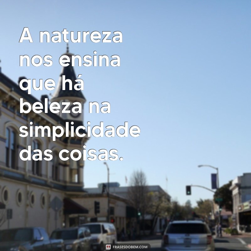 natureza frases reflexão A natureza nos ensina que há beleza na simplicidade das coisas.