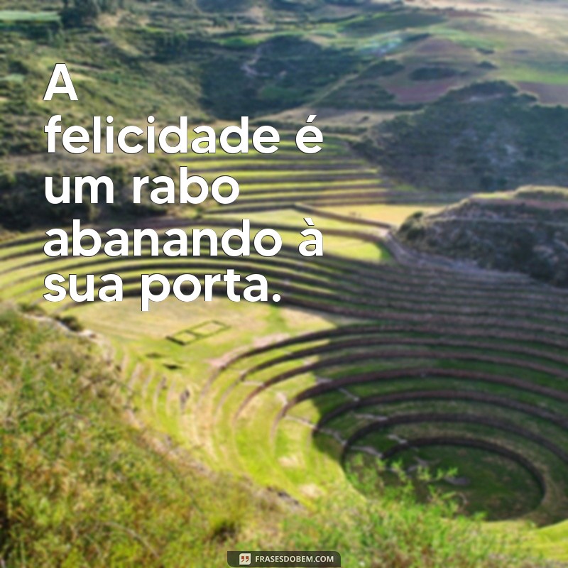 As Melhores Frases para Celebrar a Amizade com seu Cão 