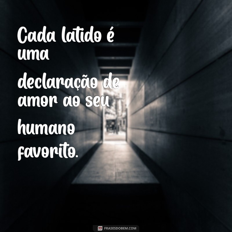 As Melhores Frases para Celebrar a Amizade com seu Cão 