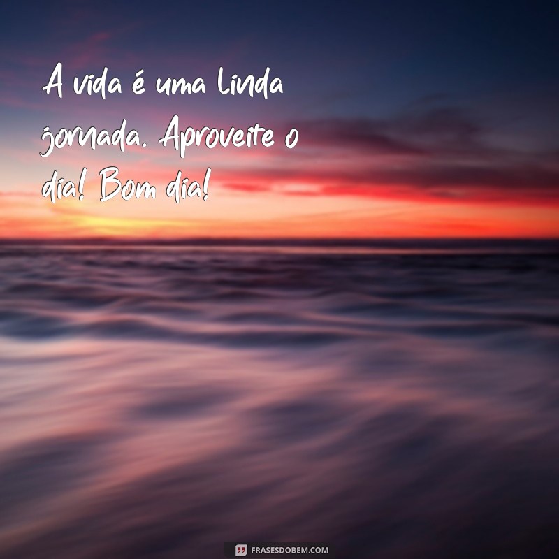 222 Frases Inspiradoras para Começar um Lindo Dia com Bom Humor 