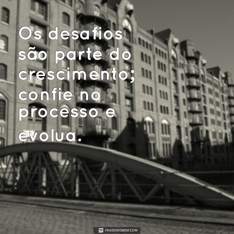 Confie no Processo: 20 Frases Inspiradoras para Aumentar sua Motivação 