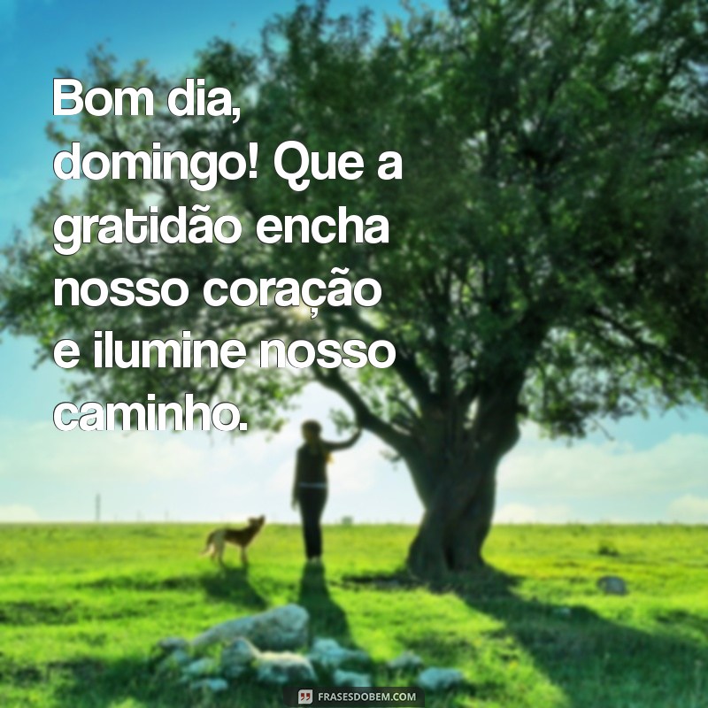 bom dia domingo de gratidão Bom dia, domingo! Que a gratidão encha nosso coração e ilumine nosso caminho.