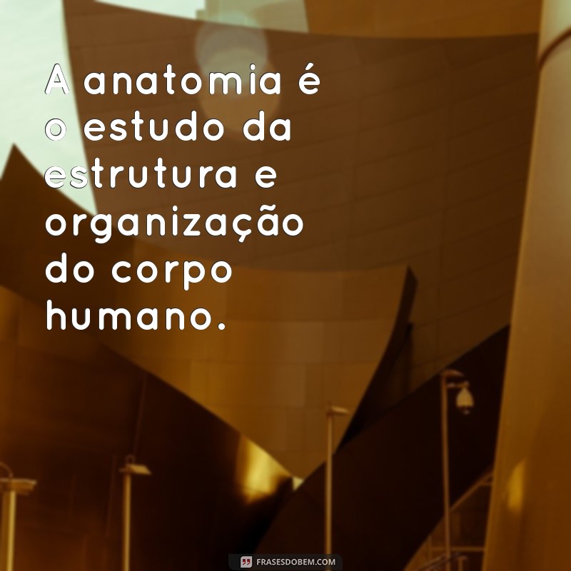 frases de anatomia A anatomia é o estudo da estrutura e organização do corpo humano.