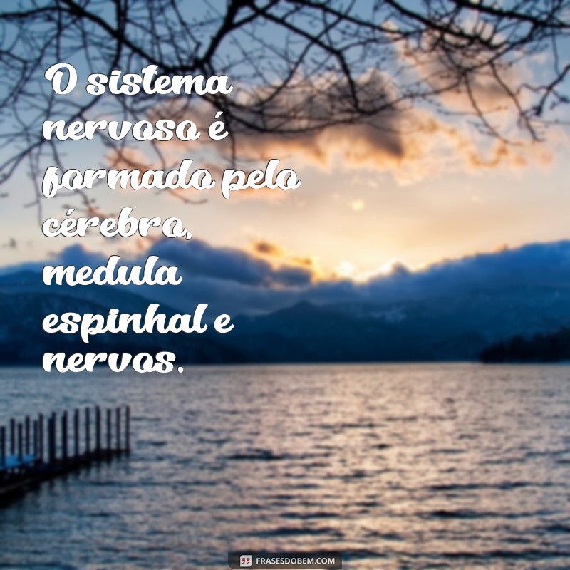 Descubra as melhores frases de anatomia para se inspirar e aprender mais sobre o corpo humano 