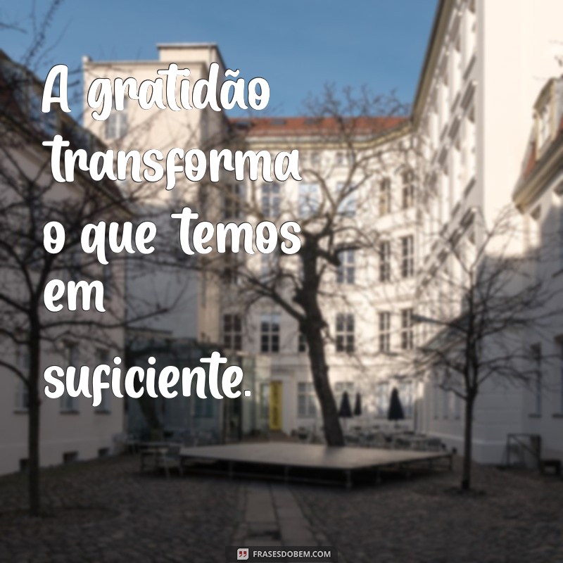 frases so agradecer A gratidão transforma o que temos em suficiente.