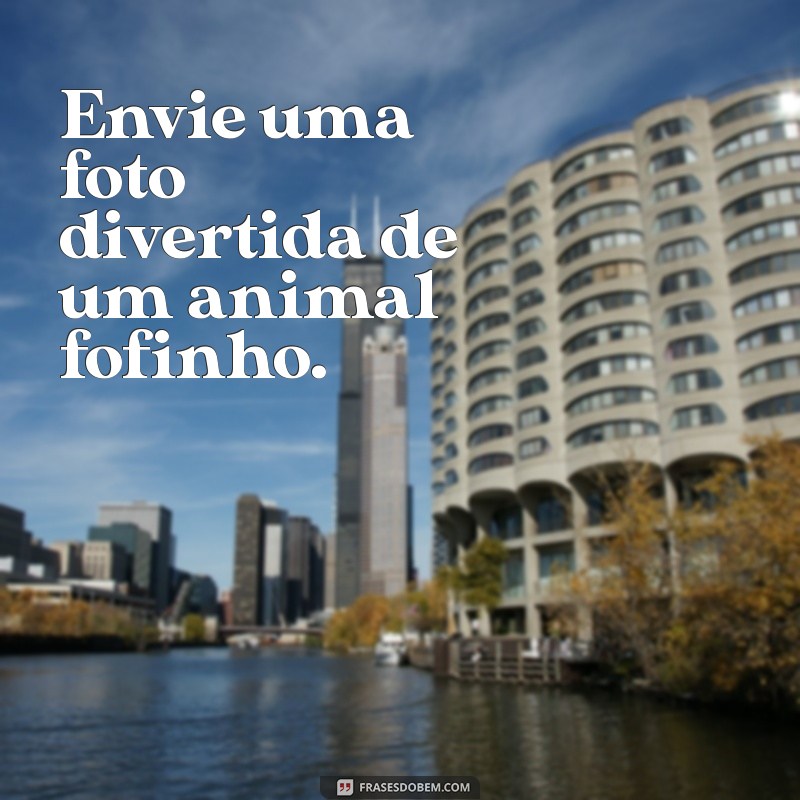 como fazer uma pessoa sorrir por mensagem Envie uma foto divertida de um animal fofinho.