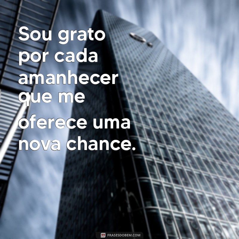 agradecimento Sou grato por cada amanhecer que me oferece uma nova chance.