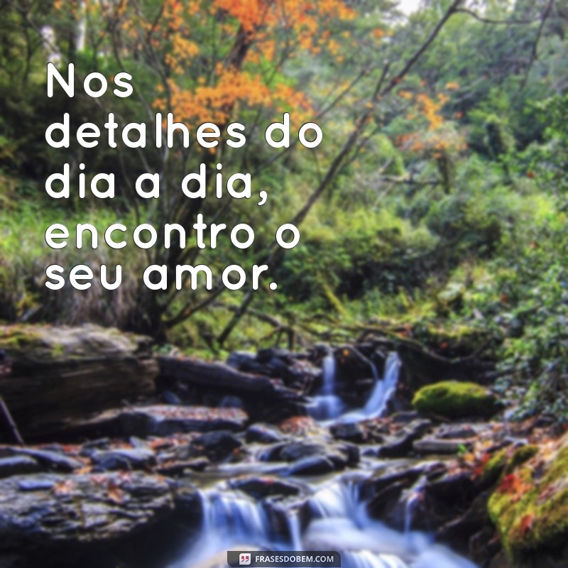 Frases Inspiradoras: Você Me Completa - Encontre a Perfeita para Seu Amor 