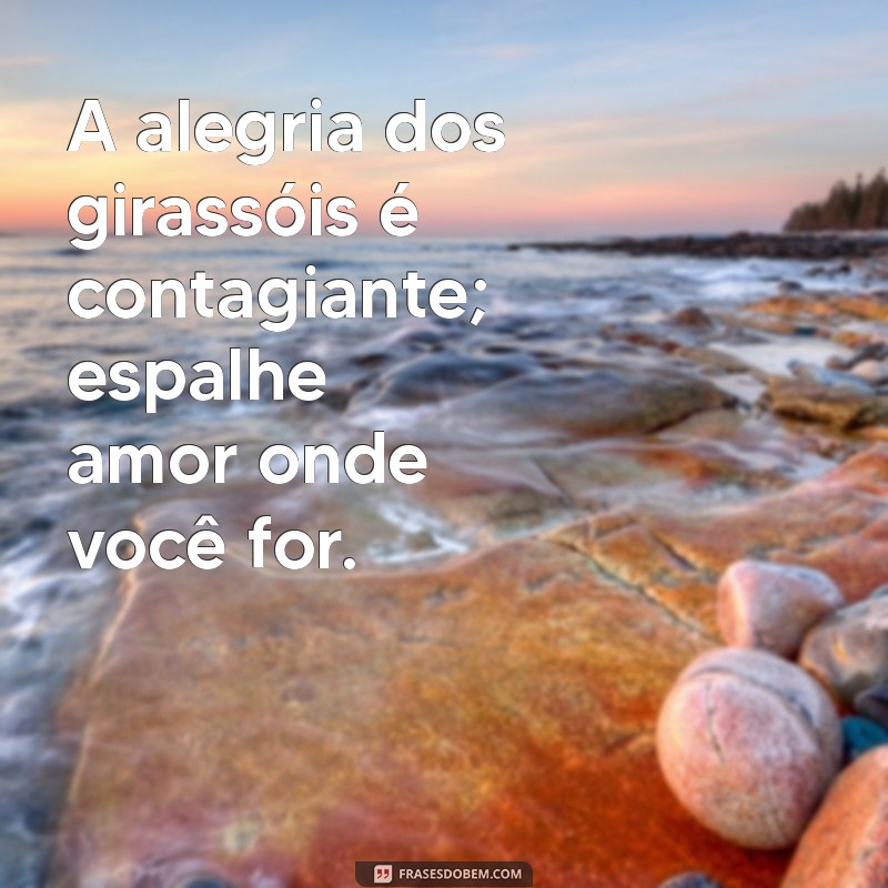 Frases Inspiradoras sobre Girassóis para Deixar suas Fotos Ainda Mais Lindas 