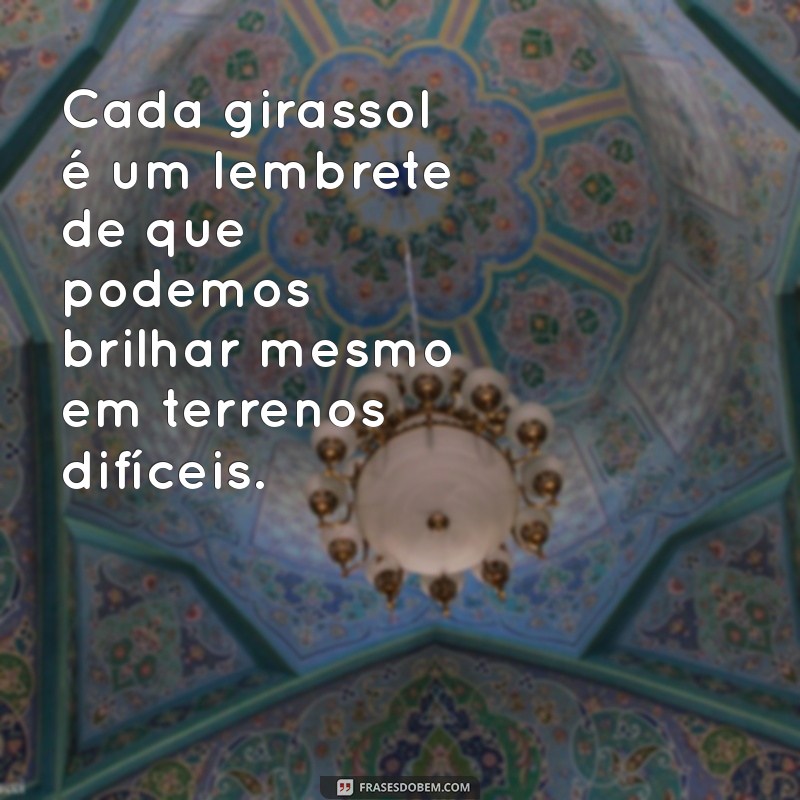 Frases Inspiradoras sobre Girassóis para Deixar suas Fotos Ainda Mais Lindas 