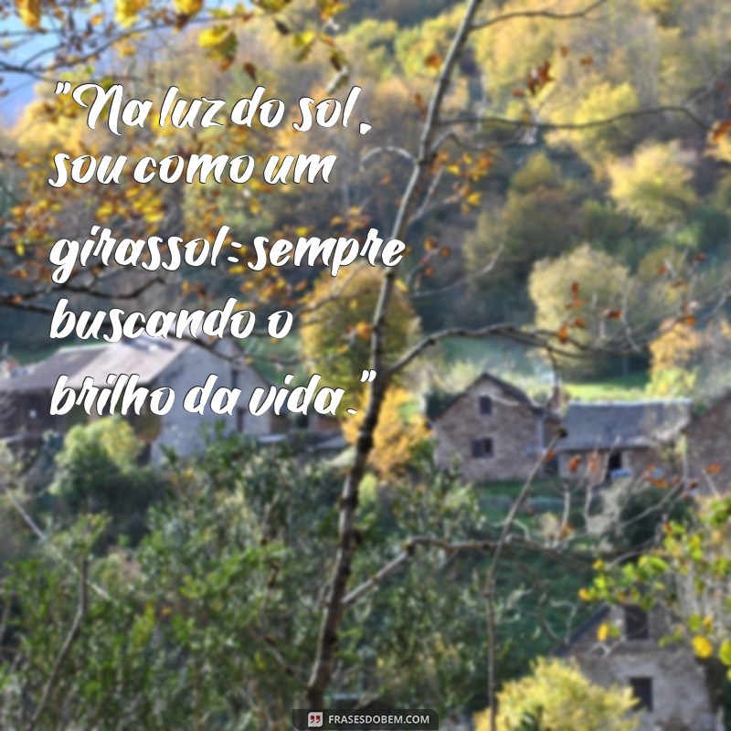 frases sobre girassol para foto 