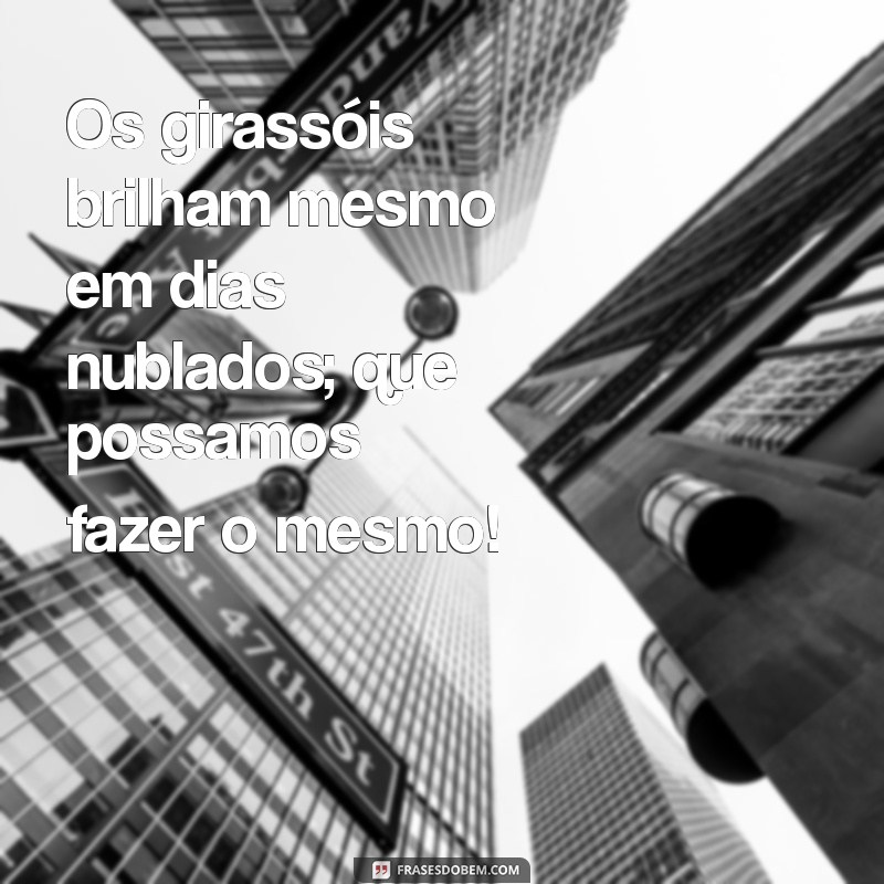 Frases Inspiradoras sobre Girassóis para Deixar suas Fotos Ainda Mais Lindas 