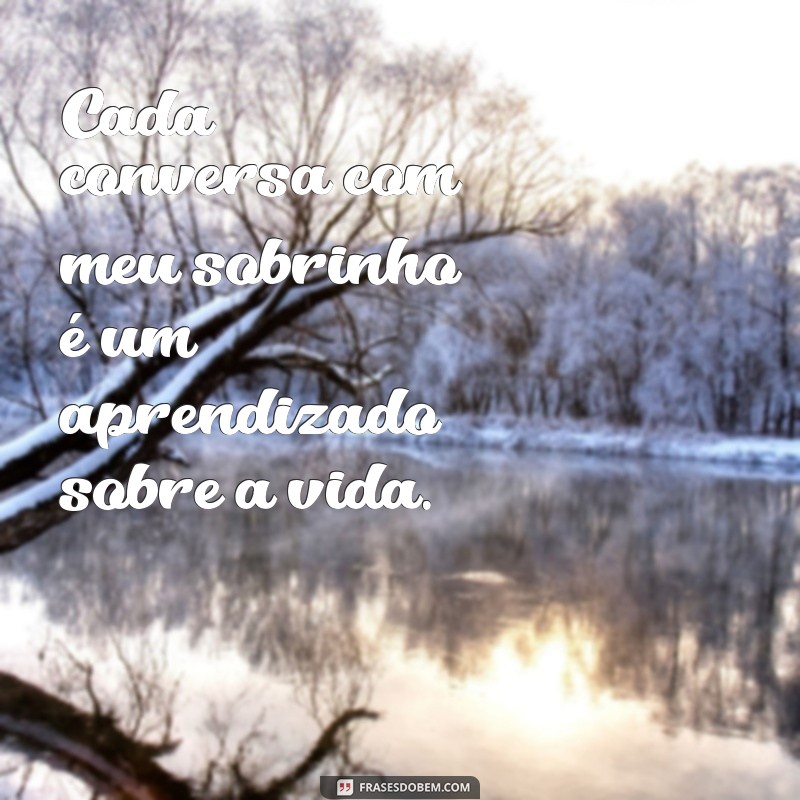 As Melhores Frases para Celebrar o Amor pelo Seu Sobrinho 