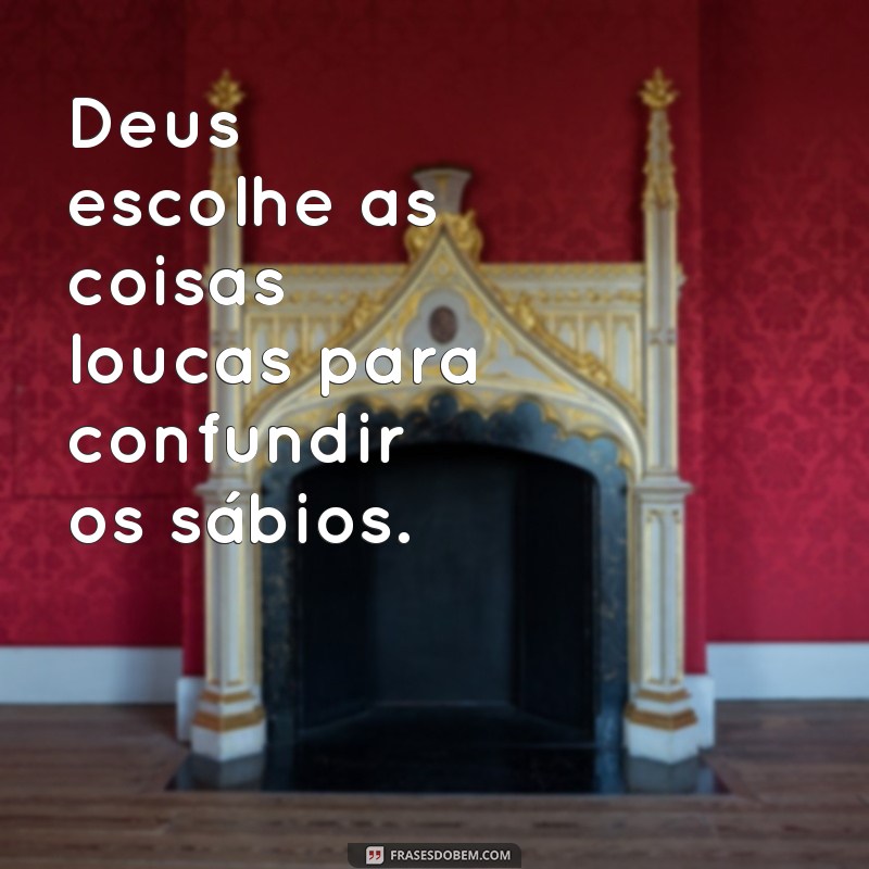 deus escolhe as coisas loucas Deus escolhe as coisas loucas para confundir os sábios.