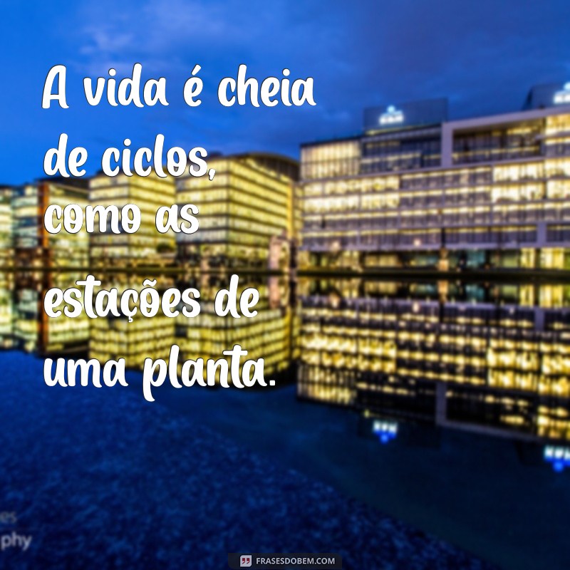 Frases Inspiradoras sobre Plantas para Usar no Seu Status 